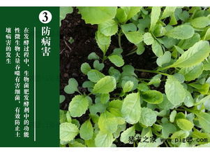 10吨猪粪生产有机肥需要使用多少农富康有机肥发酵剂？